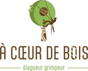 A coeur de bois logo