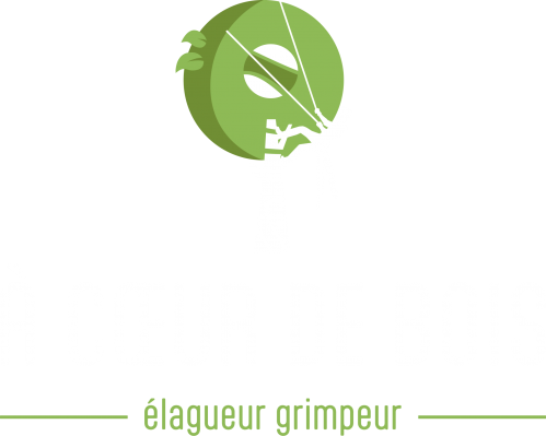 Acdb logo blanc 6